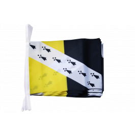 Various Lengths Norfolk County Council Flag Polyester Bunting 