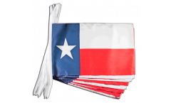 USA Texas Bunting Flags - 12 x 18 inch