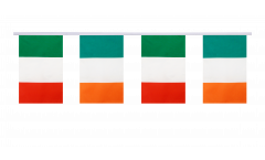 Ireland - European Union EU Friendship Bunting Flags - 5.9 x 8.65 inch