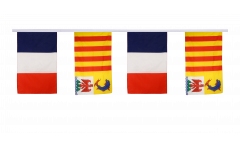 France - Provence-Alpes-Côte d'Azur Friendship Bunting Flags - 12 x 18 inch