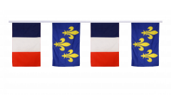 France - Île-de-France Friendship Bunting Flags - 12 x 18 inch