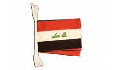 Iraq 2009 Bunting Flags - 5.9 x 8.65 inch