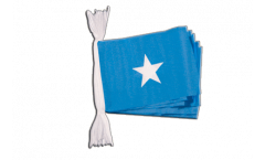 Somalia Bunting Flags - 5.9 x 8.65 inch
