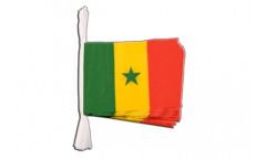 Senegal Bunting Flags - 5.9 x 8.65 inch