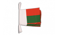 Madagascar Bunting Flags - 5.9 x 8.65 inch