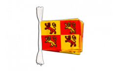Wales Royal Owain Glyndwr Bunting Flags - 5.9 x 8.65 inch