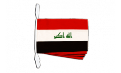 Iraq 2009 Bunting Flags - 12 x 18 inch