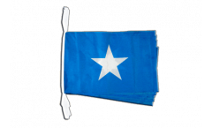 Somalia Bunting Flags - 12 x 18 inch