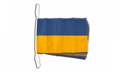 Ukraine Bunting Flags - 12 x 18 inch