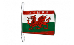 Wales CYMRU Bunting Flags - 12 x 18 inch
