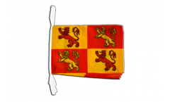 Wales Royal Owain Glyndwr Bunting Flags - 12 x 18 inch