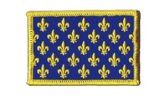 France Fleur-de-lis, blue Patch, Badge - 3.15 x 2.35 inch