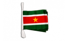 Suriname Bunting Flags - 5.9 x 8.65 inch