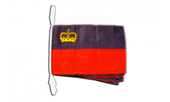 Liechtenstein Bunting Flags - 12 x 18 inch