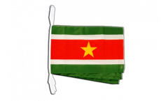 Suriname Bunting Flags - 12 x 18 inch