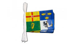 Ireland 4 provinces Bunting Flags - 12 x 18 inch