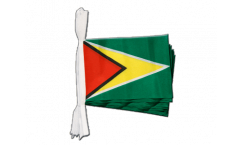Guyana Bunting Flags - 5.9 x 8.65 inch