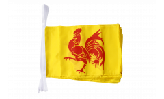 Belgium Wallonia Bunting Flags - 12 x 18 inch