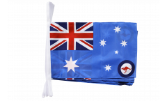 Australia Tasmania Bunting Flags - 12 x 18 inch