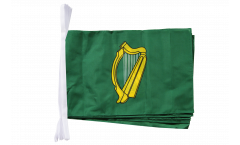 Ireland Leinster Bunting Flags - 12 x 18 inch