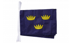 Ireland Munster Bunting Flags - 12 x 18 inch