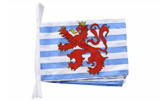Luxembourg lion Bunting Flags - 12 x 18 inch