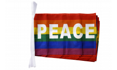 Rainbow with PEACE Bunting Flags - 12 x 18 inch