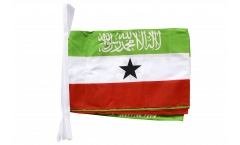 Somaliland Bunting Flags - 12 x 18 inch