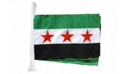Syria 1932-1963 / Opposition Free Syrian Army Bunting Flags - 12 x 18 inch