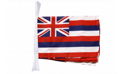USA Hawaii Bunting Flags - 12 x 18 inch
