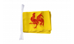 Belgium Wallonia Bunting Flags - 5.9 x 8.65 inch