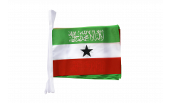 Somaliland Bunting Flags - 5.9 x 8.65 inch