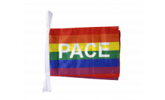 Rainbow with PACE Bunting Flags - 12 x 18 inch