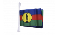 France New Caledonia Kanaky Bunting Flags - 5.9 x 8.65 inch