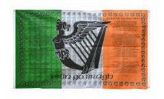 Ireland Soldiers Flag for balcony - 3 x 5 ft.