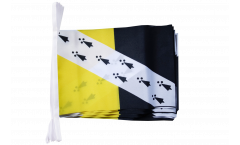 Great Britain Norfolk new Bunting Flags - 5.9 x 8.65 inch