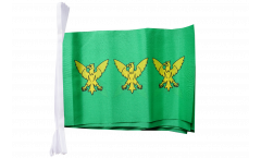 Great Britain Caernarfonshire Carnarvonshire Bunting Flags - 5.9 x 8.65 inch