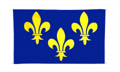 France Île-de-France coat of arms with lily Flag for balcony - 3 x 5 ft.