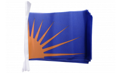 Ireland Sunburst Bunting Flags - 5.9 x 8.65 inch