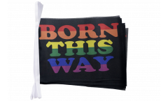 Rainbow Born This Way Bunting Flags - 5.9 x 8.65 inch