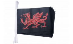 Welsh dragon black Bunting Flags - 5.9 x 8.65 inch