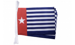 West Papua / Western New Guinea Bunting Flags - 5.9 x 8.65 inch