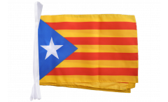 Estelada blava Catalonia Bunting Flags - 12 x 18 inch