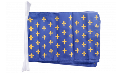 France Fleur-de-lis, blue Bunting Flags - 12 x 18 inch