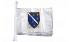 Bosnia old 1992-1998 Bunting Flags - 12 x 18 inch