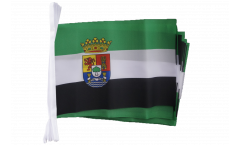 Spain Extremadura Bunting Flags - 5.9 x 8.65 inch