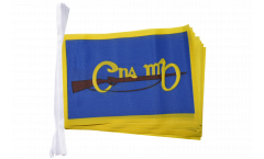 Ireland Cumann na mBan Bunting Flags - 5.9 x 8.65 inch