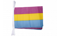 Pansexuel Bunting Flags - 5.9 x 8.65 inch