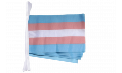 Transgender Pride Bunting Flags - 5.9 x 8.65 inch