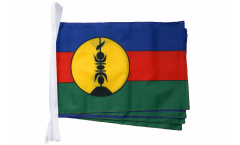 France New Caledonia Kanaky Bunting Flags - 12 x 18 inch
